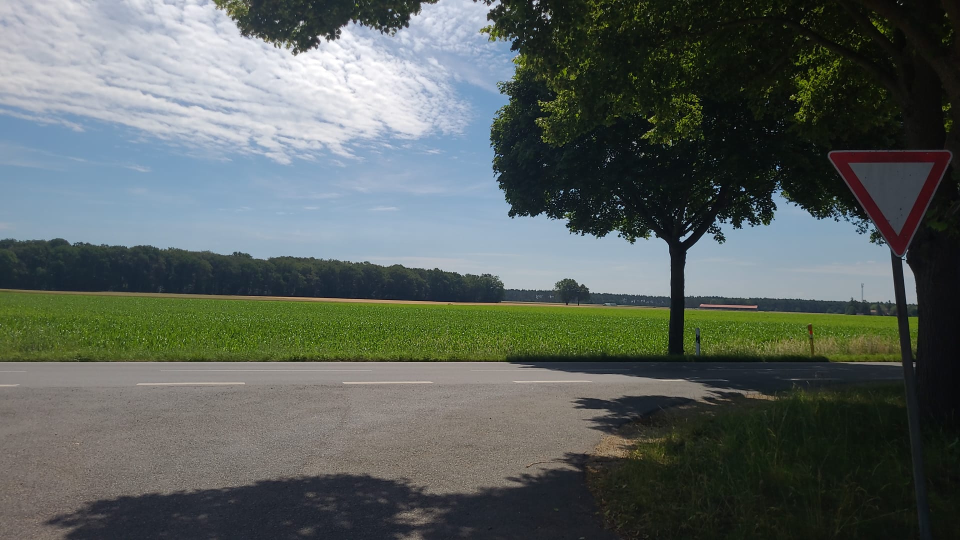 Galeriebild Kleinburgwedel