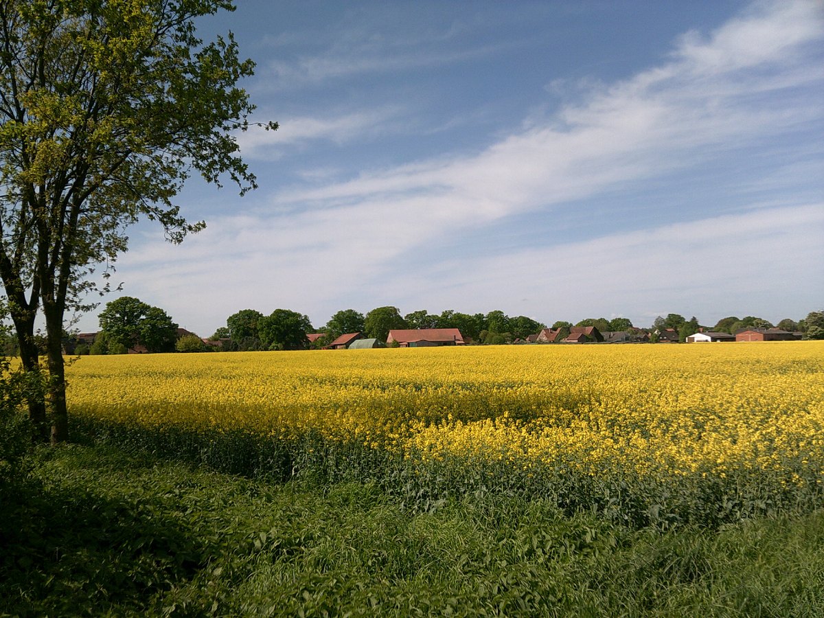 Kleinburgwedel