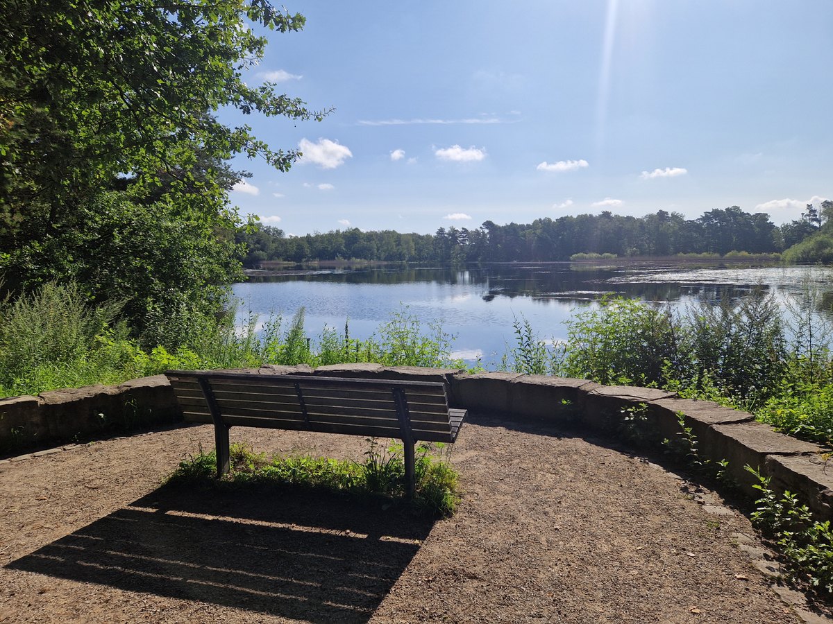 Würmsee / Natur in Kleinburgwedel
